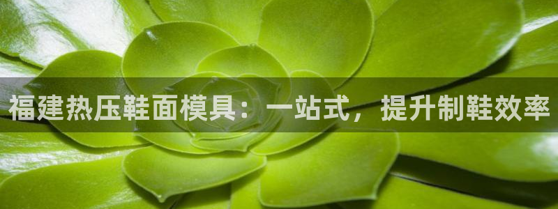 emc 倍频