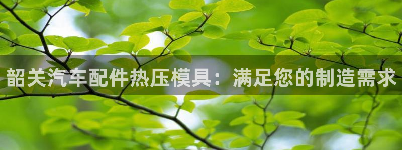 emc测试频率范围：韶关汽车配件热压模具：满足您的制造需