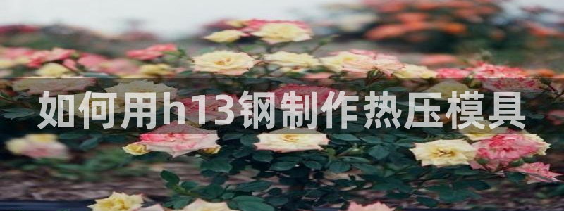易倍申效果怎么样