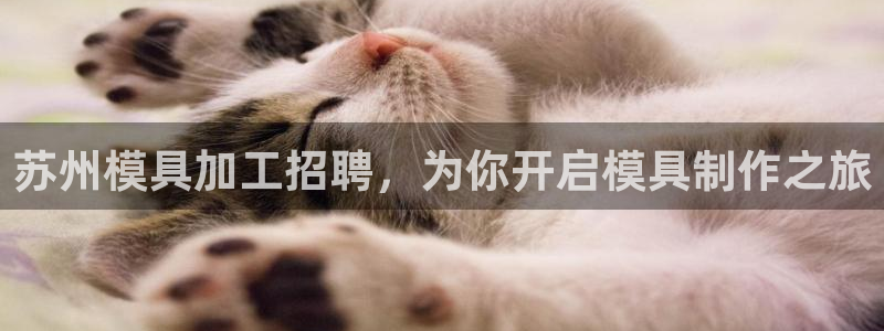 北京易倍思教育怎么样