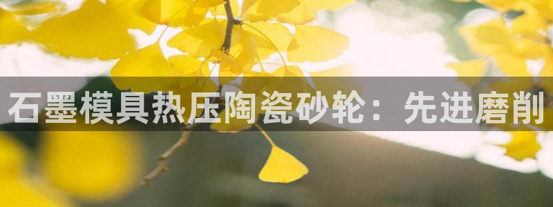 易倍电竞