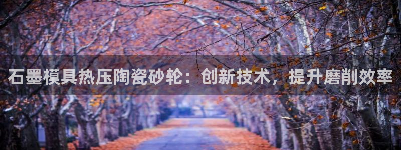 易倍网络技术有限公司官网：石墨模具热压陶瓷砂轮：创新技术