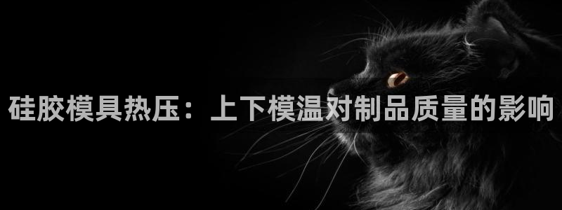易倍达科技有限公司代运营