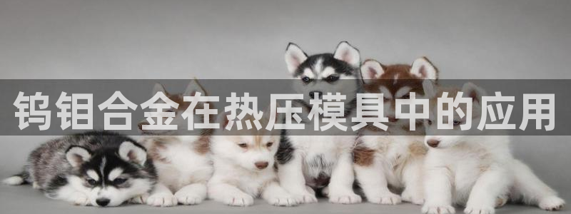 emc易倍首页
