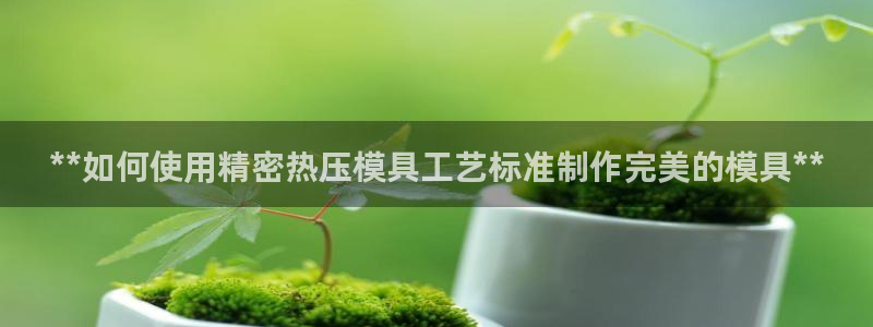 emc易倍在线登录：**如何使用精密热压模具工艺标准制作