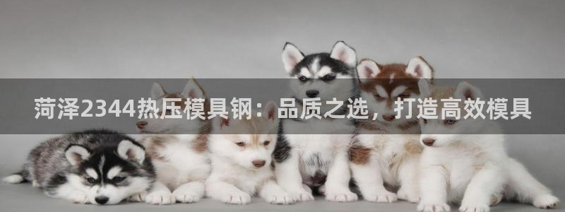 易倍单词app下载：菏泽2344热压模具钢：品质之选，打