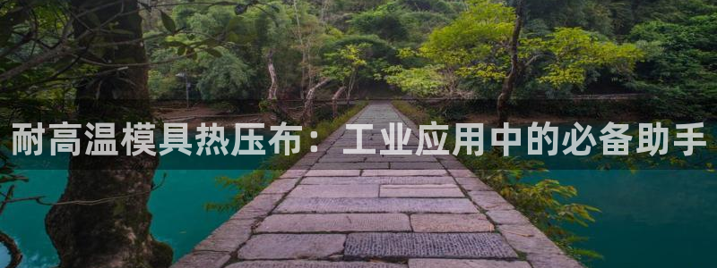 易倍单词官方网站下载安卓：耐高温模具热压布：工业应用中的