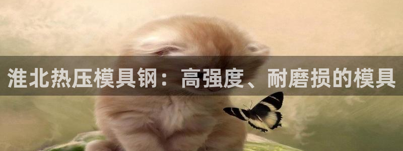 易倍纤代餐奶昔减肥效果怎么样：淮北热压模具钢：高强度、耐