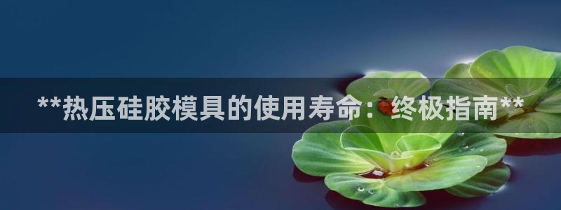 易倍申的副作用：**热压硅胶模具的使用寿命：终极指南**