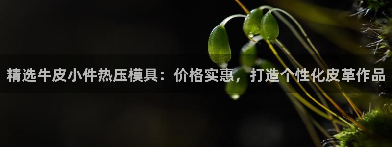 emc备份软件：精选牛皮小件热压模具：价格实惠，打造个性