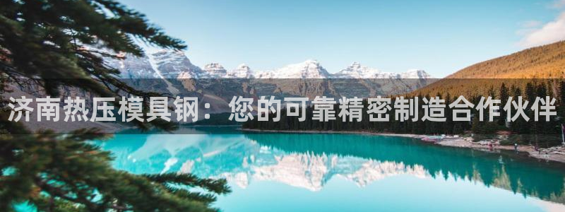 易倍网络技术有限公司：济南热压模具钢：您的可靠精密制造合