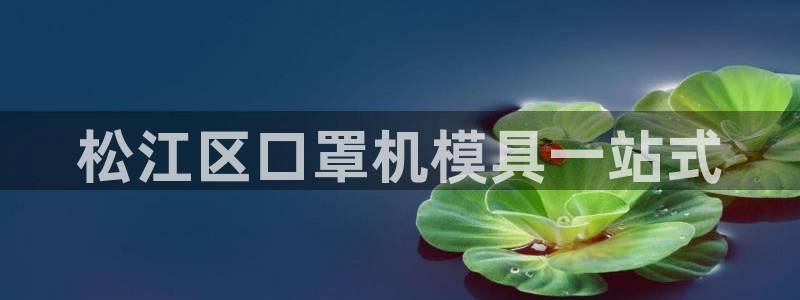 易倍单词app官网