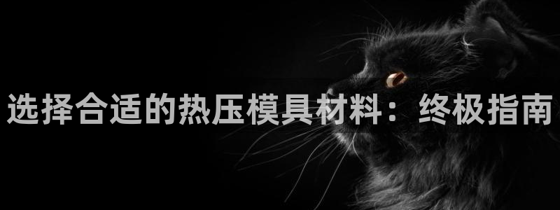 易倍纤谷物粉效果好吗：选择合适的热压模具材料：终极指南