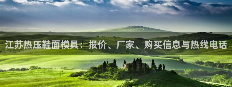易倍纤怎么使用：江苏热压鞋面模具：报价、厂家、购买信息与