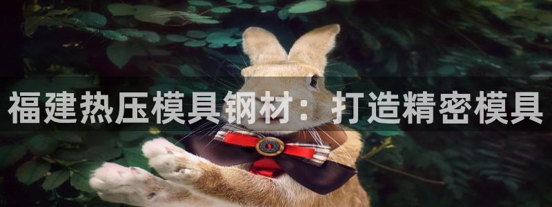 emc易倍全站官网：福建热压模具钢材：打造精密模具