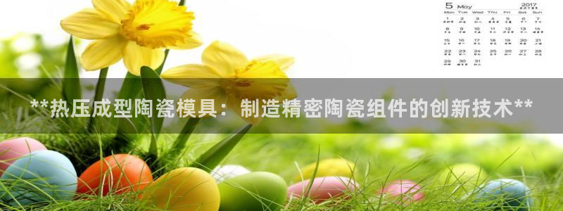 南京易倍易电子科技有限公司：**热压成型陶瓷模具：制造精
