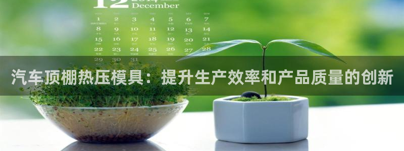 易倍达科技有限公司怎么样：汽车顶棚热压模具：提升生产效率
