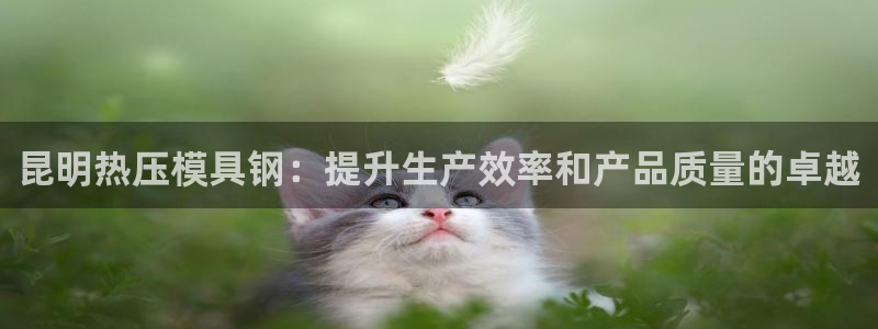 易倍纤奶昔减肥效果怎么样：昆明热压模具钢：提升生产效率和