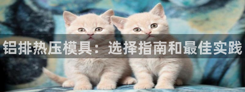 易倍英语官方网站登录