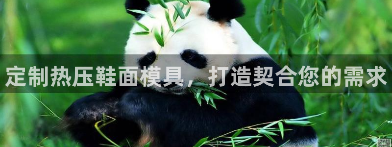 易倍单词登录平台