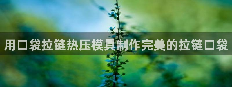 易倍网络技术有限公司招聘