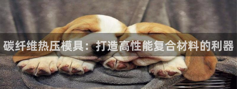 emc全站易倍