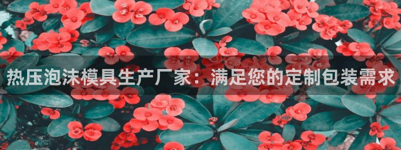 emc易倍账号异常