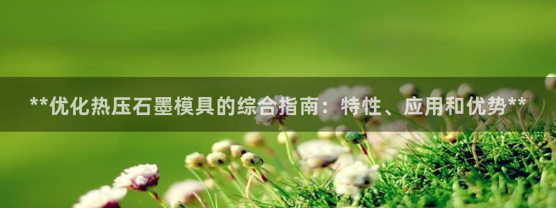 易倍申是进口药吗：**优化热压石墨模具的综合指南：特性、
