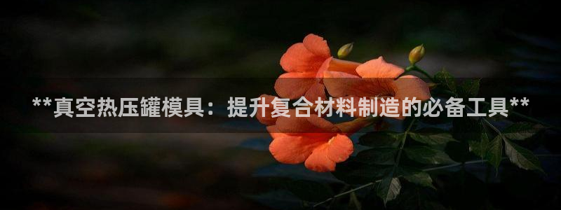 emc易倍的服务优势：**真空热压罐模具：提升复合材料制