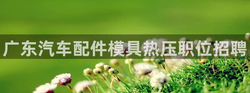 emc全站下载