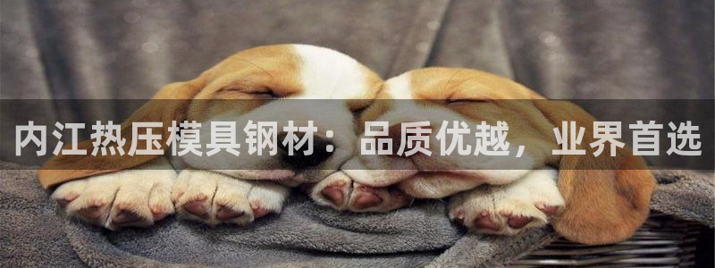 emc易倍官网app下载：内江热压模具钢材：品质优越，业