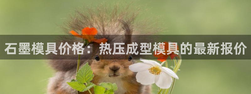 易倍单词官网下载