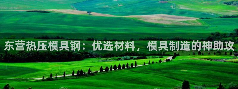 易倍达科技有限公司官网