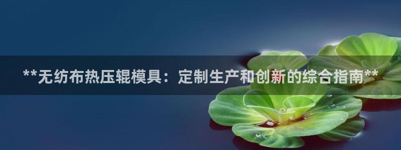 易倍申厂家：**无纺布热压辊模具：定制生产和创新的综合指