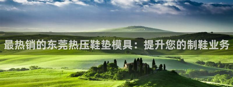 emc32软件安装：最热销的东莞热压鞋垫模具：提升您的制
