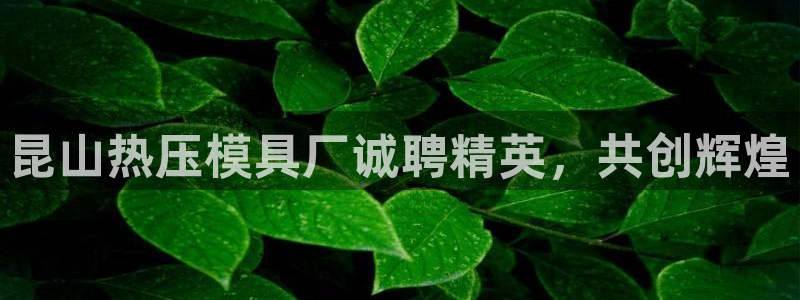 易倍申在中国成功上市