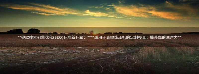 易倍达科技有限公司：**谷歌搜索引擎优化(SEO)标准新