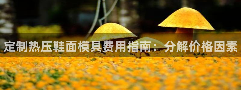易倍申多少钱一盒