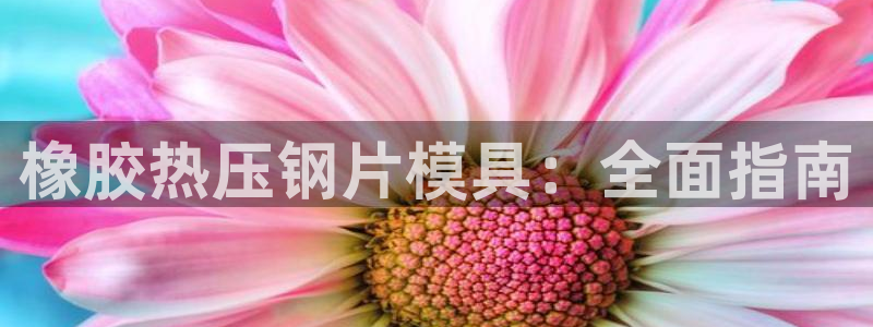 emc下载