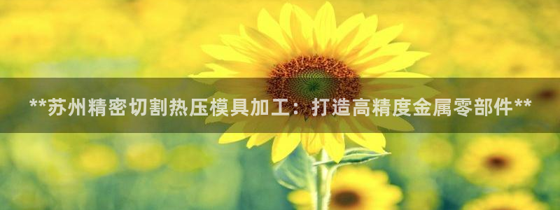 emc易倍app官网下载：**苏州精密切割热压模具加工：