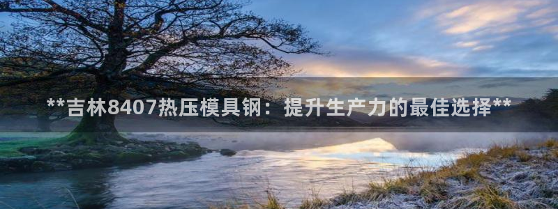 易倍申片说明书：**吉林8407热压模具钢：提升生产力的