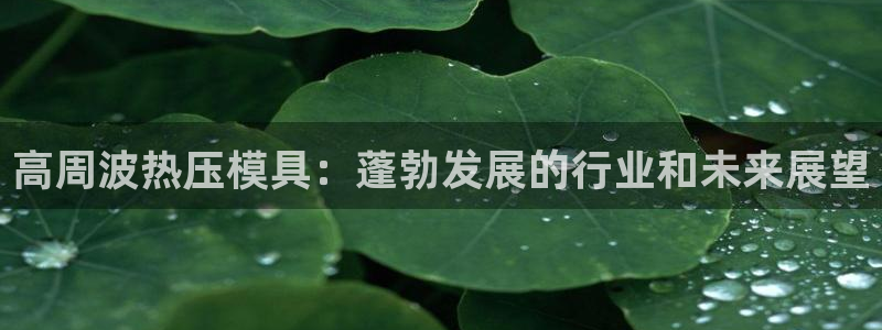 EMC易倍官网招聘：高周波热压模具：蓬勃发展的行业和未来