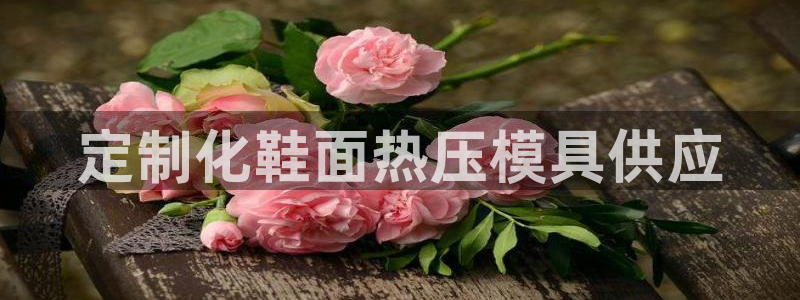 易倍单词app
