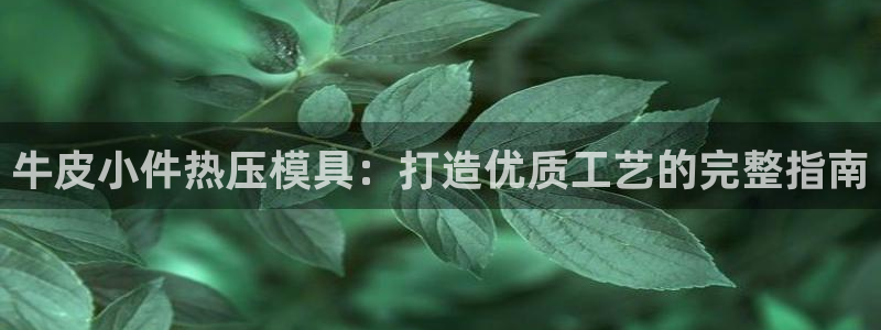 易倍单词软件：牛皮小件热压模具：打造优质工艺的完整指南