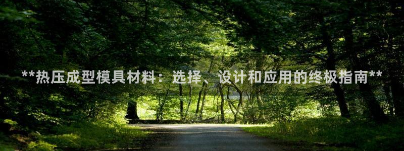 易倍单词app：**热压成型模具材料：选择、设计和应用的