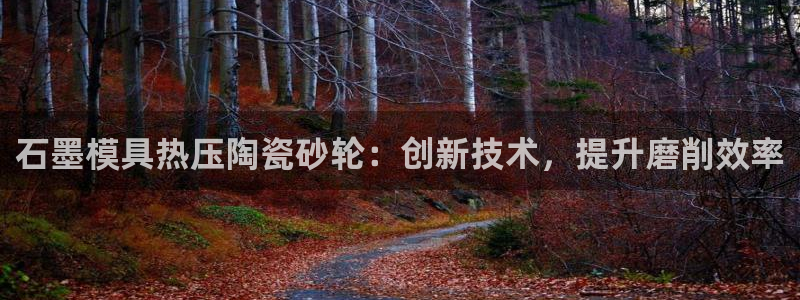 emc易倍官方：石墨模具热压陶瓷砂轮：创新技术，提升磨削