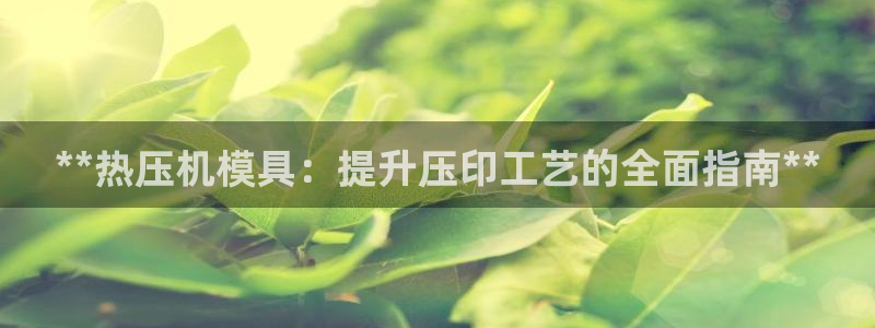 易倍英语官方网站登录：**热压机模具：提升压印工艺的全面
