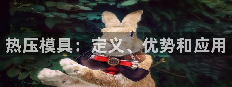 易倍达科技有限公司代运营