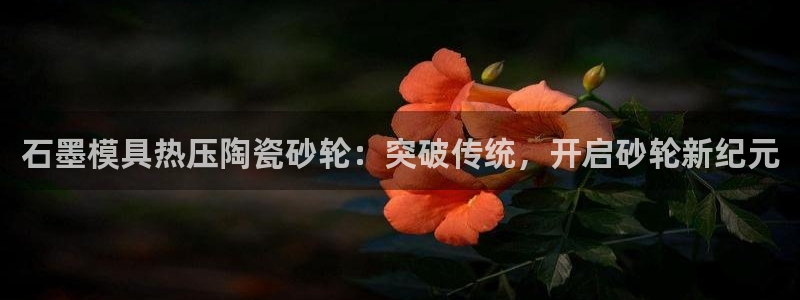 易倍单词登录网站