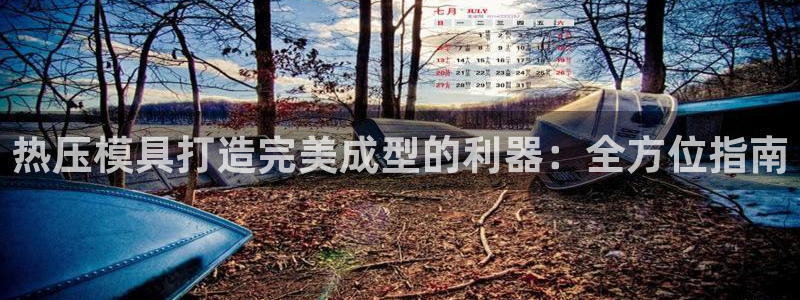 易倍纤奶昔减肥效果怎么样：热压模具打造完美成型的利器：全